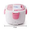 Portable Electric food heater box